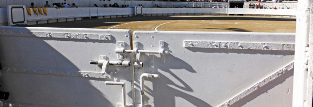 Corrida dans la peau d’un taureau