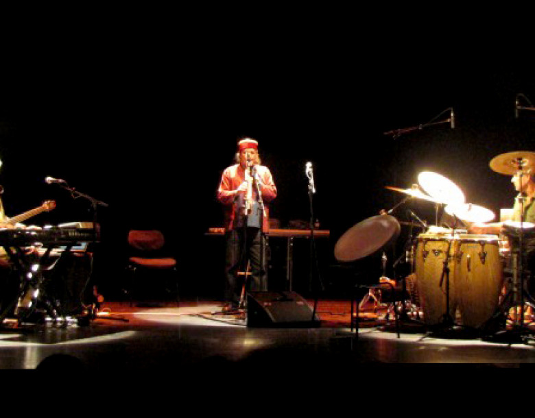 Hadouk Trio Live