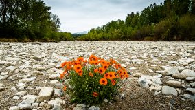 -Dans-le-fleuve-Agly-a-sec-dans-les-Pyrenees-Orientales-en-France-le-5-mai-2023.-JC-MILHET-HANS-LUCAS-AFP.jpg